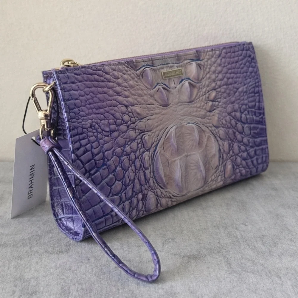 Brahmin daisy very
